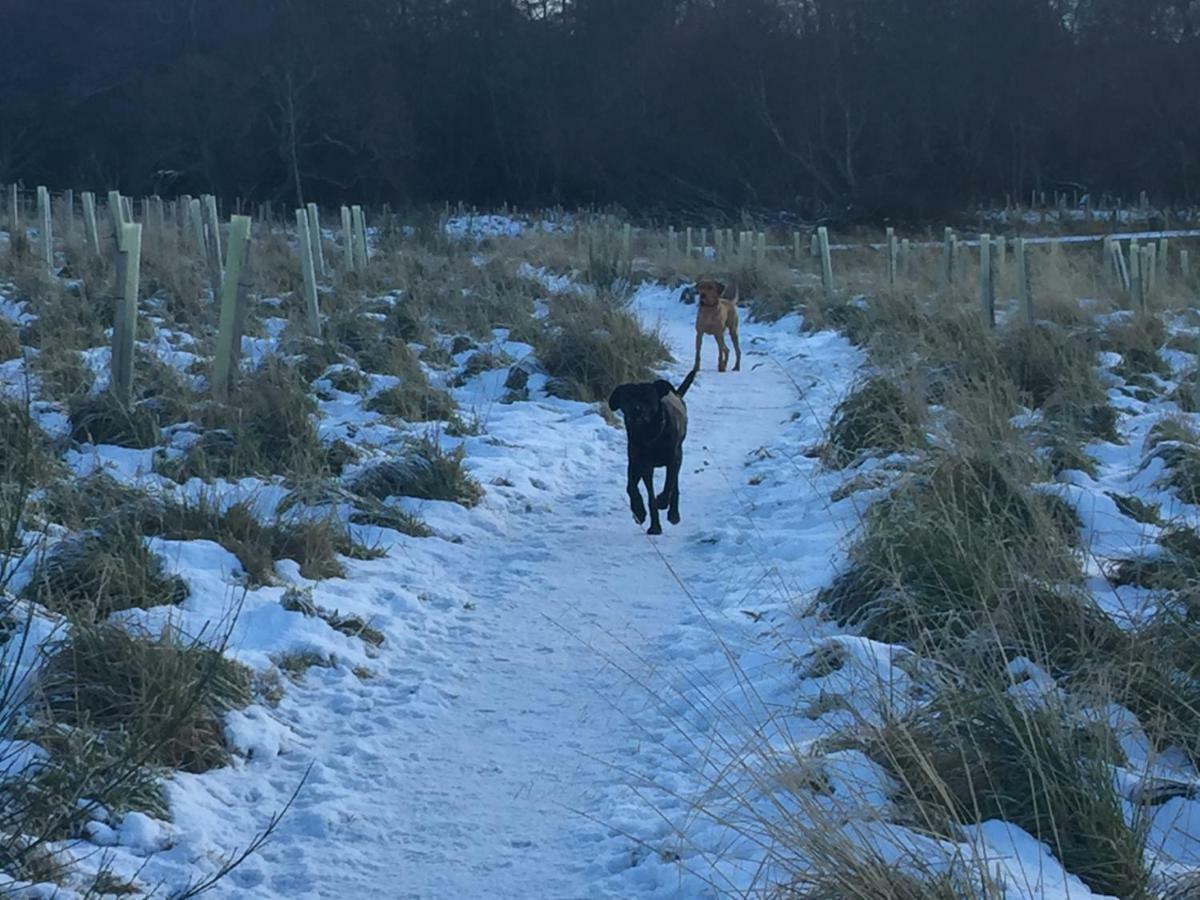 Aviemore Highlands No82 Εξωτερικό φωτογραφία